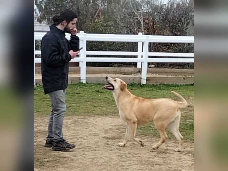 Brooklyn - riesiges Herz sucht riesige Couch