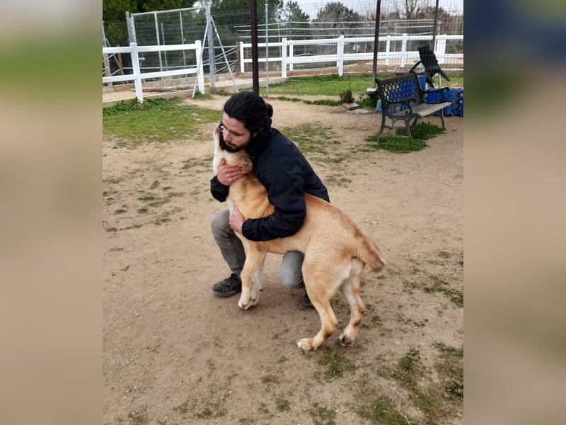 Brooklyn - riesiges Herz sucht riesige Couch
