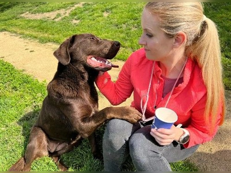 Zauberhafte, liebenswerte Gemma sucht ihre Menschen