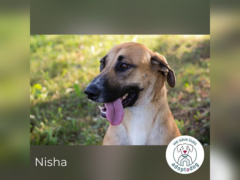 Nisha – Frohnatur