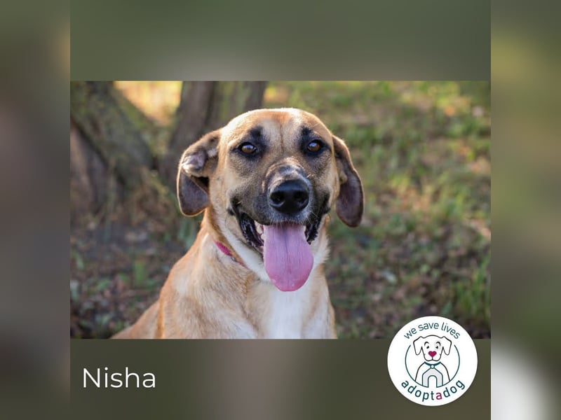 Nisha – Frohnatur