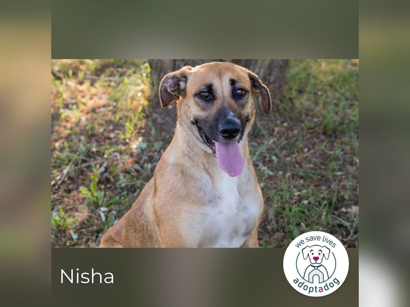 Nisha – Frohnatur