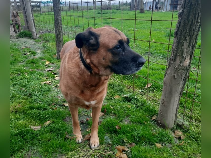 Zora sucht ein Zuhause