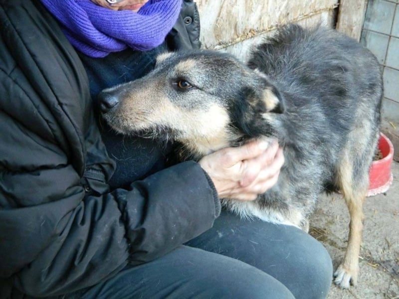 ZARTE SEELE BRAUCHT LIEBENDE MENSCHEN ++ CHARLOTTE SUCHT SCHON ZU LANGE
