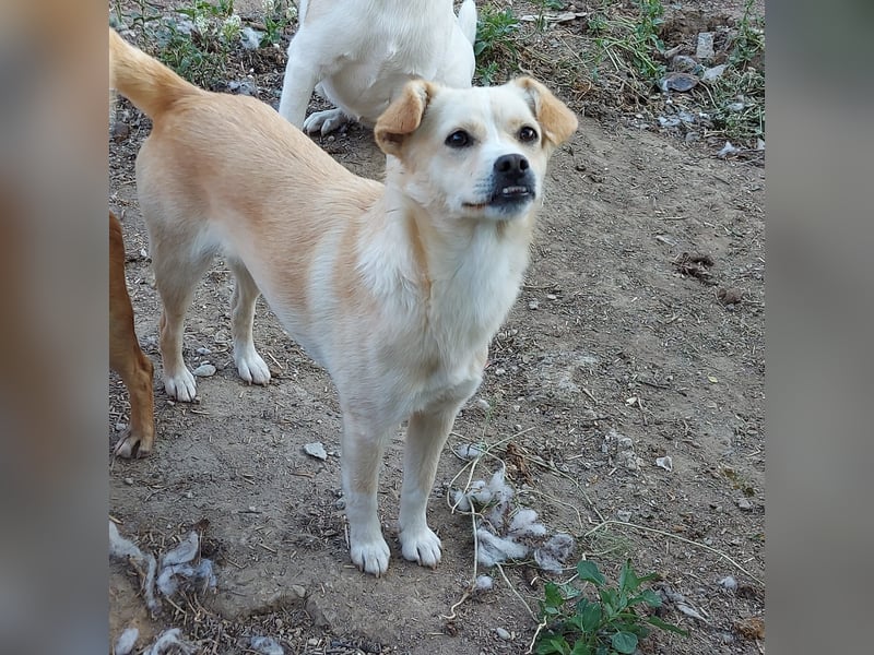Noly