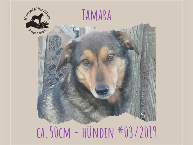 Tamara