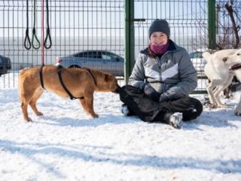 Wunderbare SALSICCIA-ausgeglichen, angenehm, sucht ihre Herzensmenschen