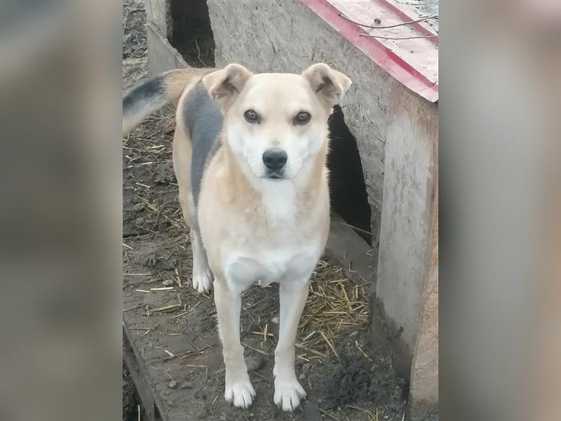 Lupita