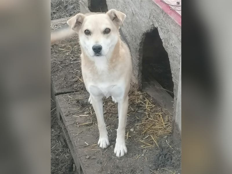 Lupita