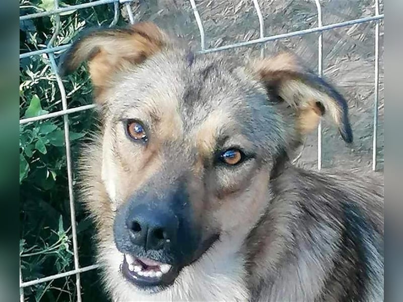 Deja