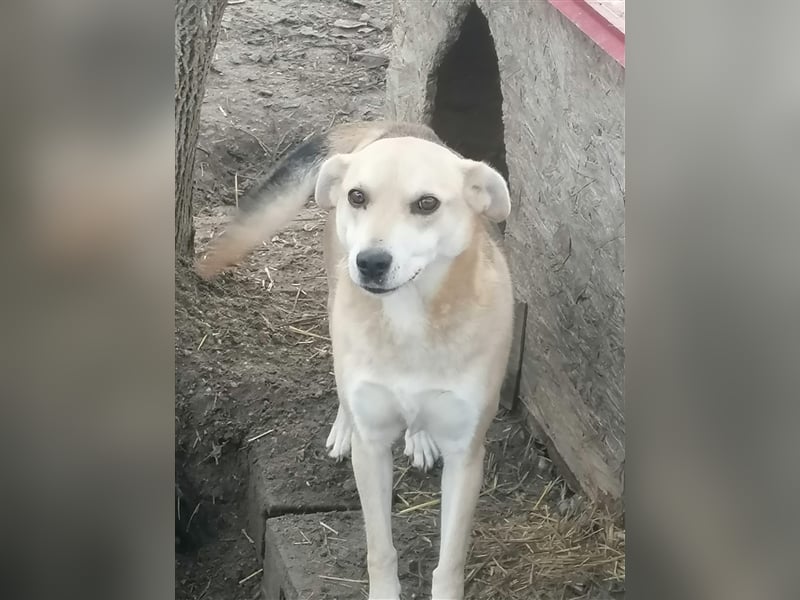 Lupita