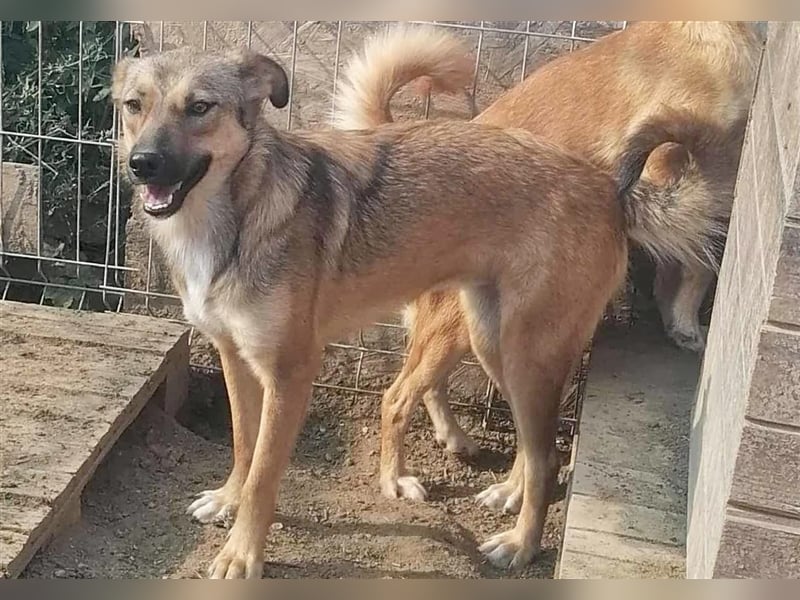 Deja
