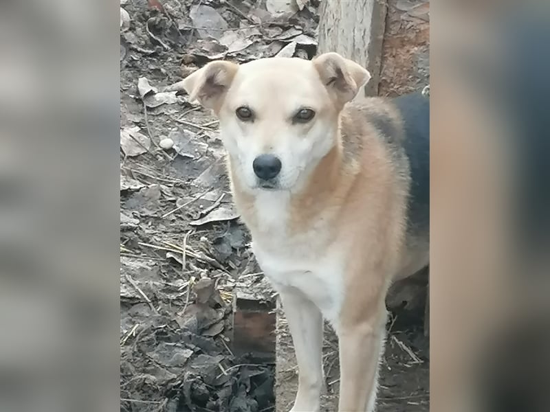 Lupita