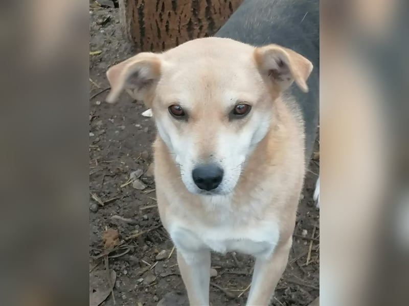 Lupita