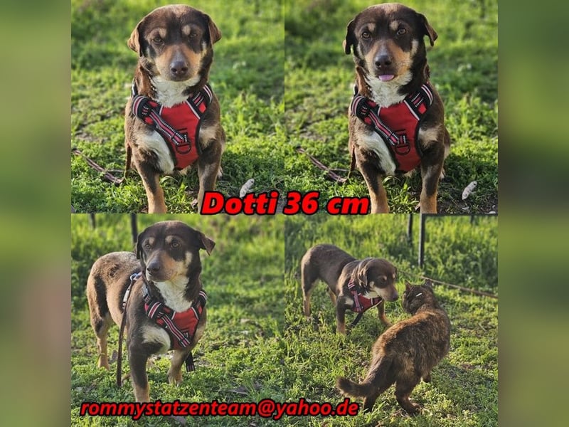Dotti geht neugierig durchs Leben