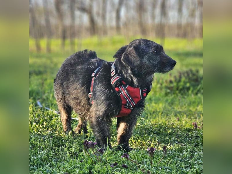 Fina freut sich auf schöne Spaziergänge