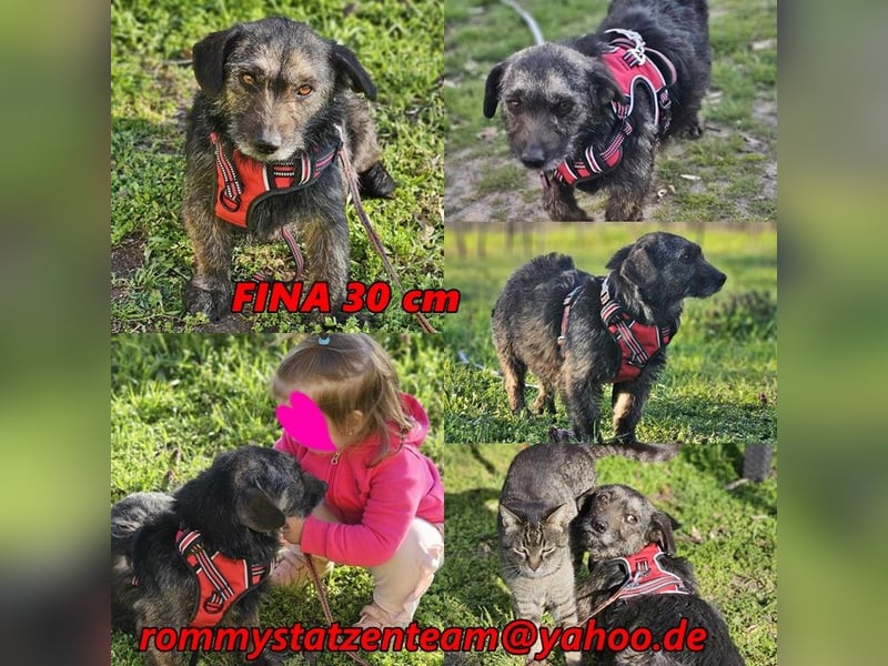 Fina freut sich auf schöne Spaziergänge