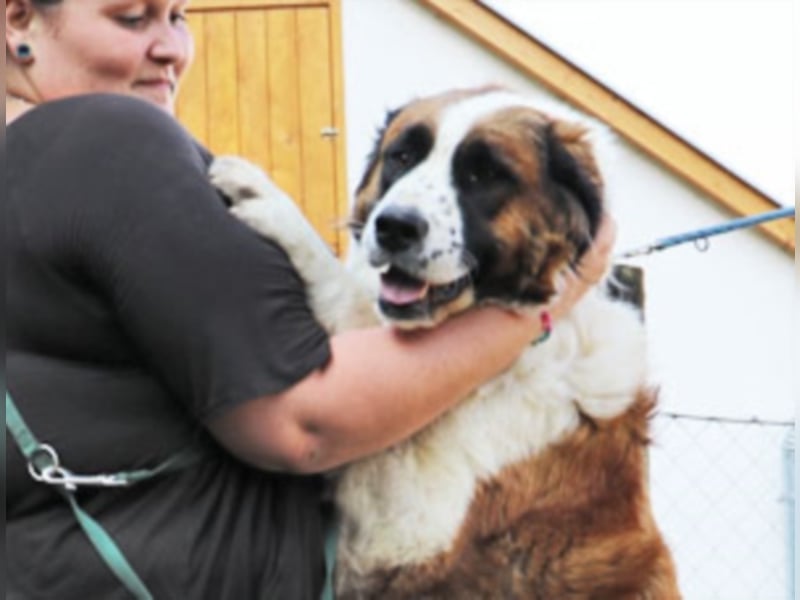 Bodza liebes Riesenbaby sucht