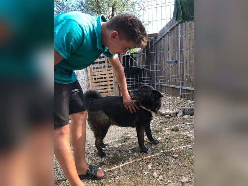 WOLFI ist ein Mädchen