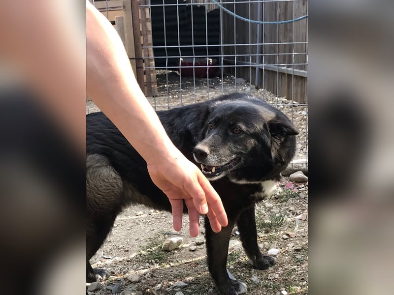 WOLFI ist ein Mädchen