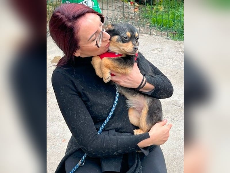 Kira - Kleine Hundedame mit großen Augen sucht ihr Zuhause!