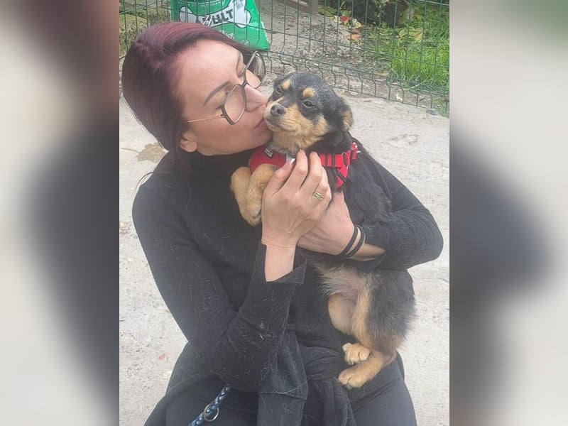 Kira - Kleine Hundedame mit großen Augen sucht ihr Zuhause!