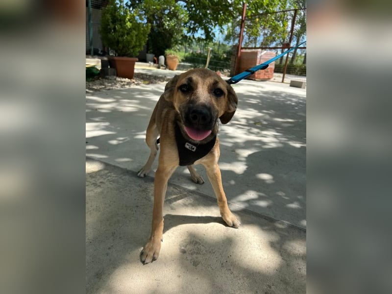 Cleo - unsere wundervolle Frohnatur
