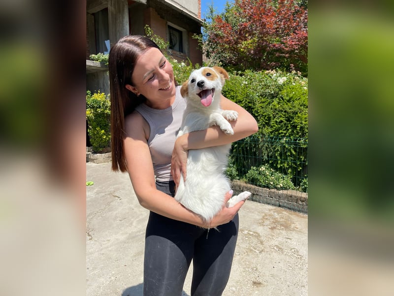 Coco  – Kleines zartes Hundemädchen sucht ihr großes Glück