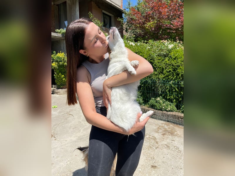 Coco  – Kleines zartes Hundemädchen sucht ihr großes Glück