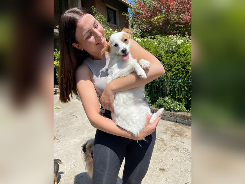 Coco  – Kleines zartes Hundemädchen sucht ihr großes Glück