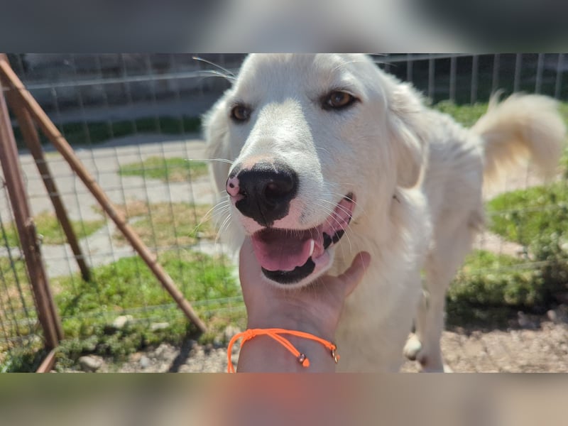 Zauberhafte Skadi, bekommt sie trotz Handicap eine Chance?