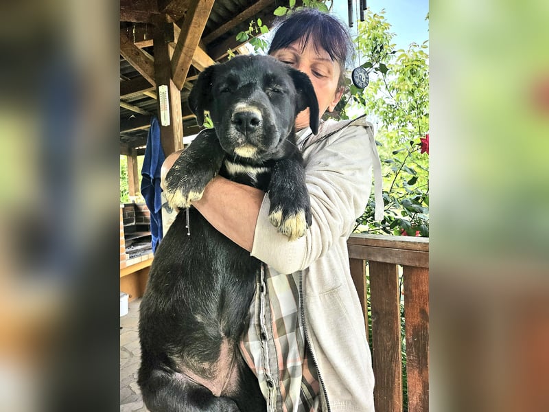 Nova – Kleine Powermaus mit viel Charme sucht aktive Menschen