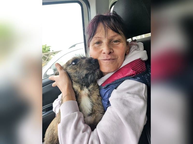 Mona, 8 Monate, sucht ihre Herzensmenschen