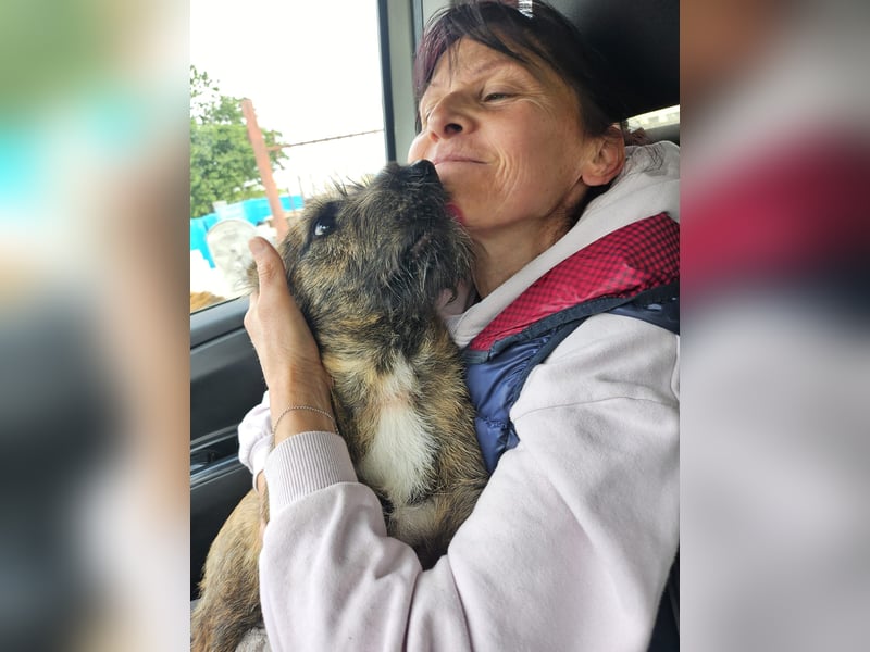 Mona, 8 Monate, sucht ihre Herzensmenschen