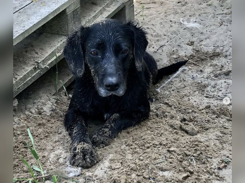 Gisela, eine Wasserratte mit großem Herzen!
