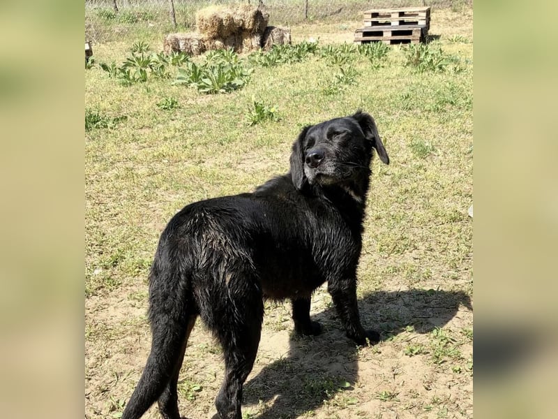 Gisela, eine Wasserratte mit großem Herzen!