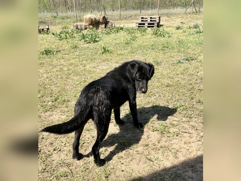 Gisela, eine Wasserratte mit großem Herzen!