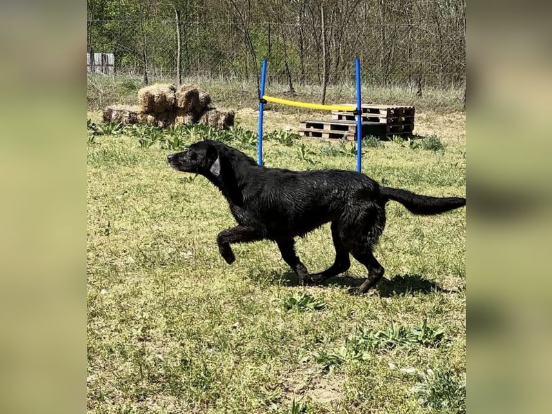 Gisela, eine Wasserratte mit großem Herzen!
