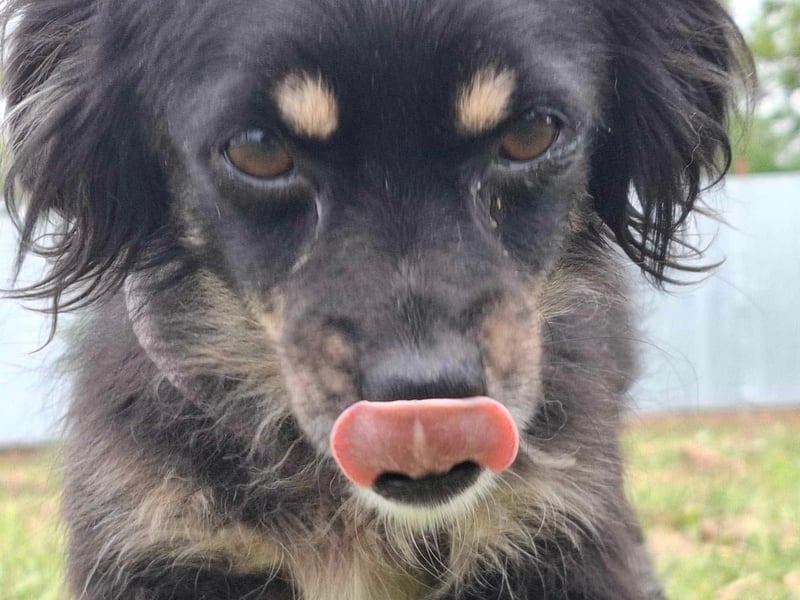 Süße kleine Betty