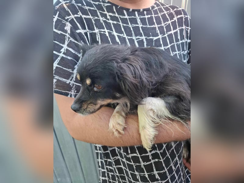 Süße kleine Betty
