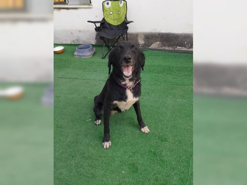 Bonny hatte es noch nie schön