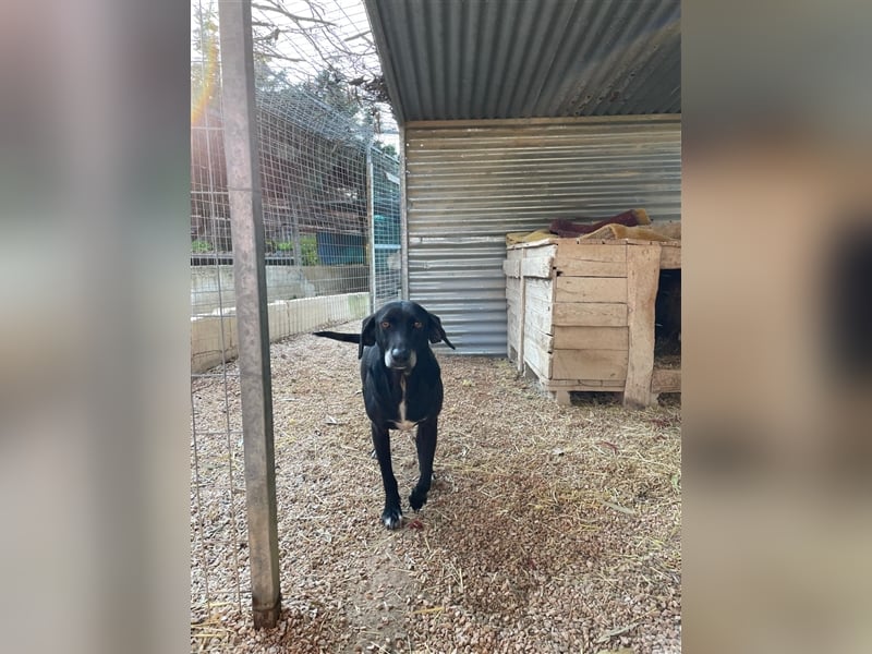 Tammy sucht ein Zuhause