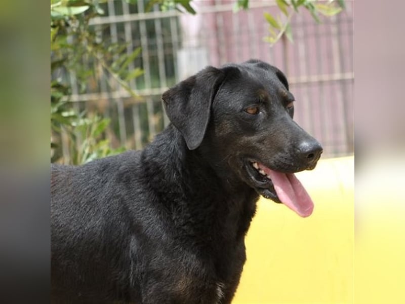 Zia