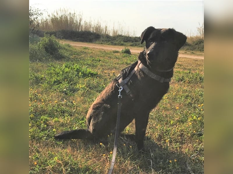 Zoe