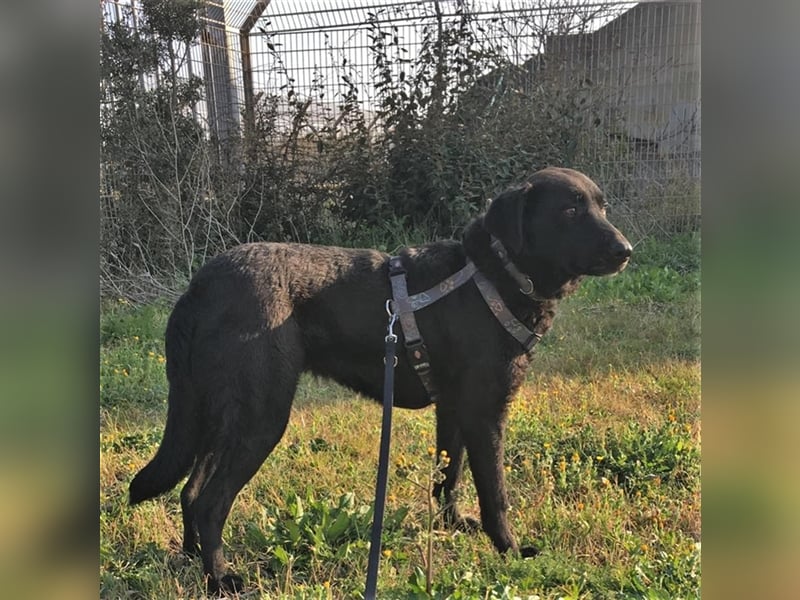 Zoe