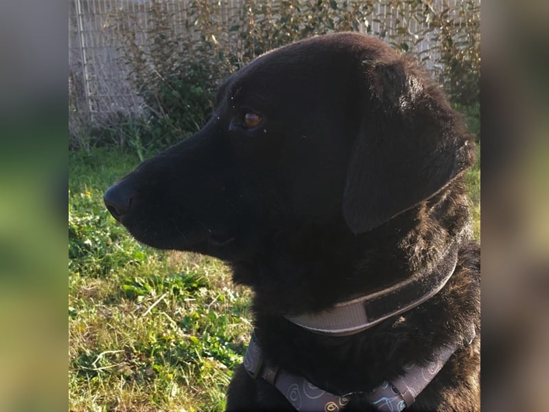 Zoe