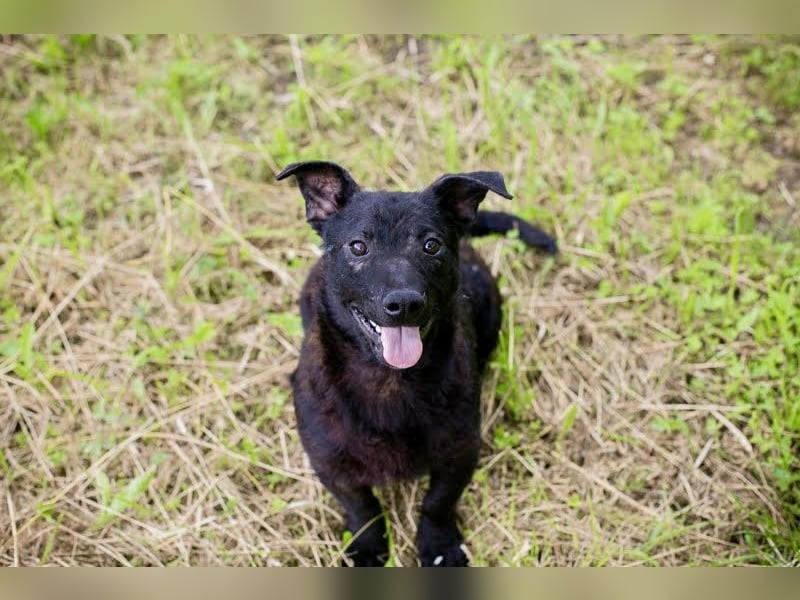 Sally – kleine Frohnatur sucht großes Herz ❤️