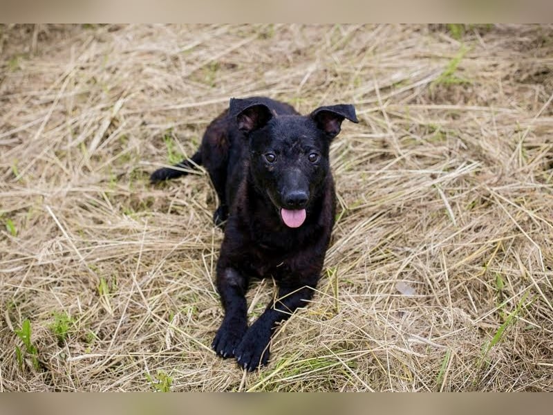Sally – kleine Frohnatur sucht großes Herz ❤️