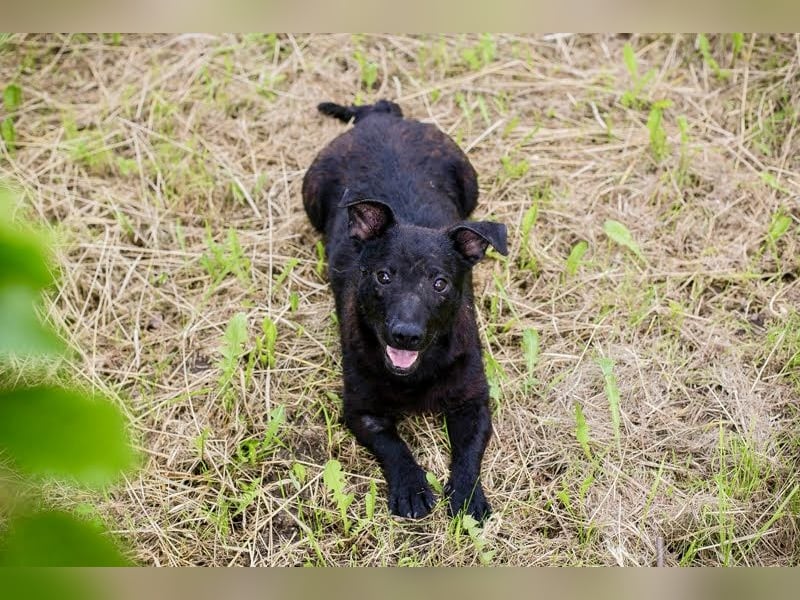 Sally – kleine Frohnatur sucht großes Herz ❤️