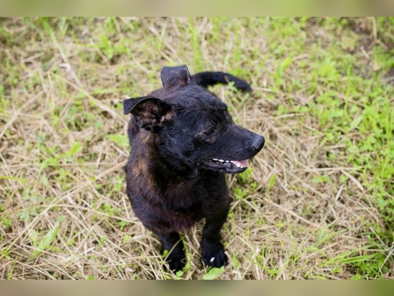 Sally – kleine Frohnatur sucht großes Herz ❤️